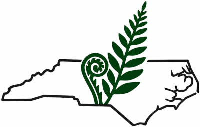 NC Ferns logo